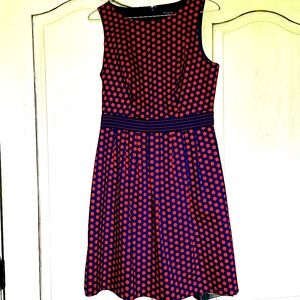 The Limited Polka Dot Dress